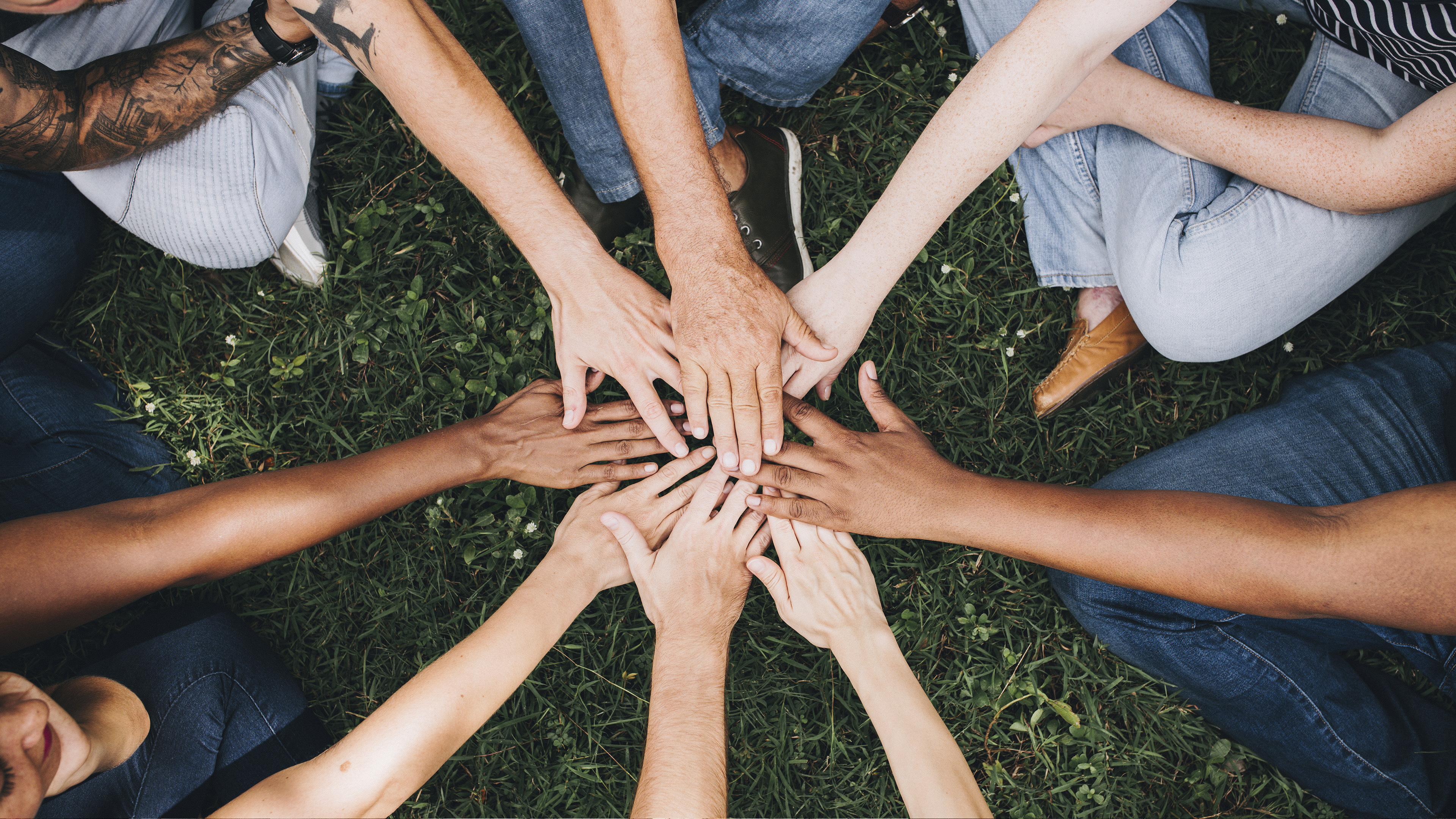 Exceptional client service